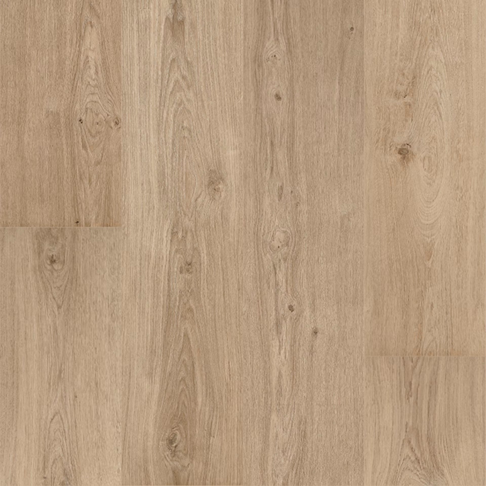 Champagne Vinyl Planks