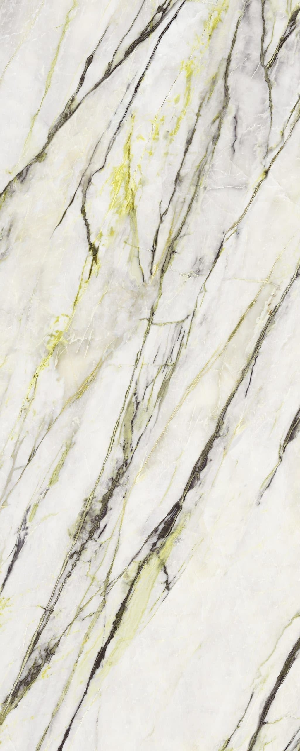 Green Calacatta Matt Porcelain Slab