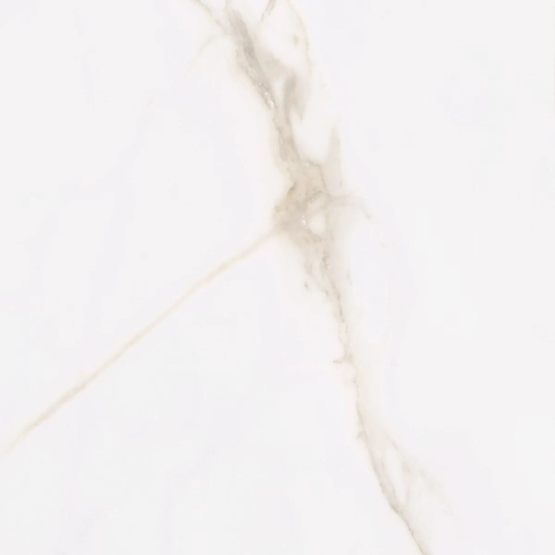 Calacatta Aurum Matt