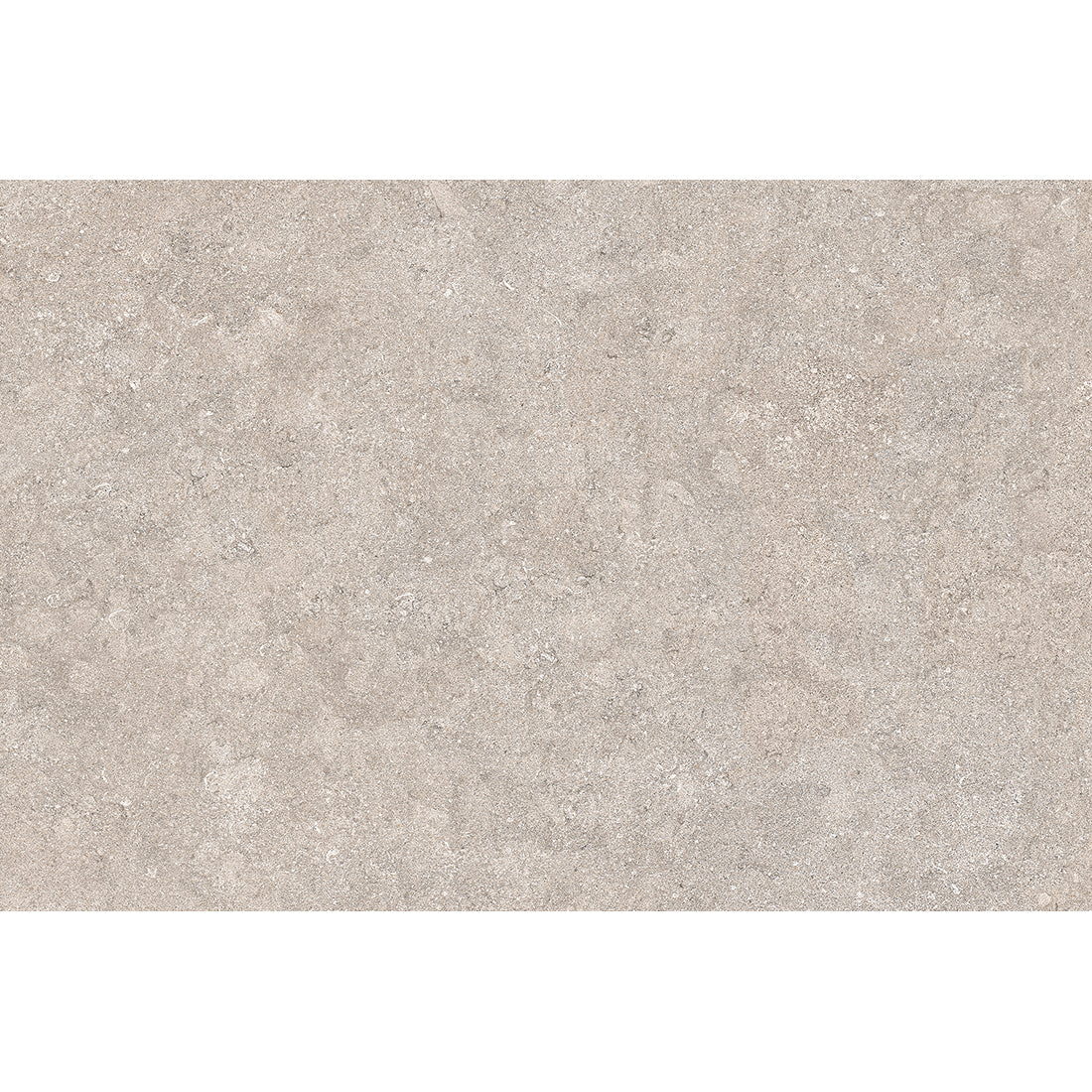 Silver Haven Porcelain Paving Slab